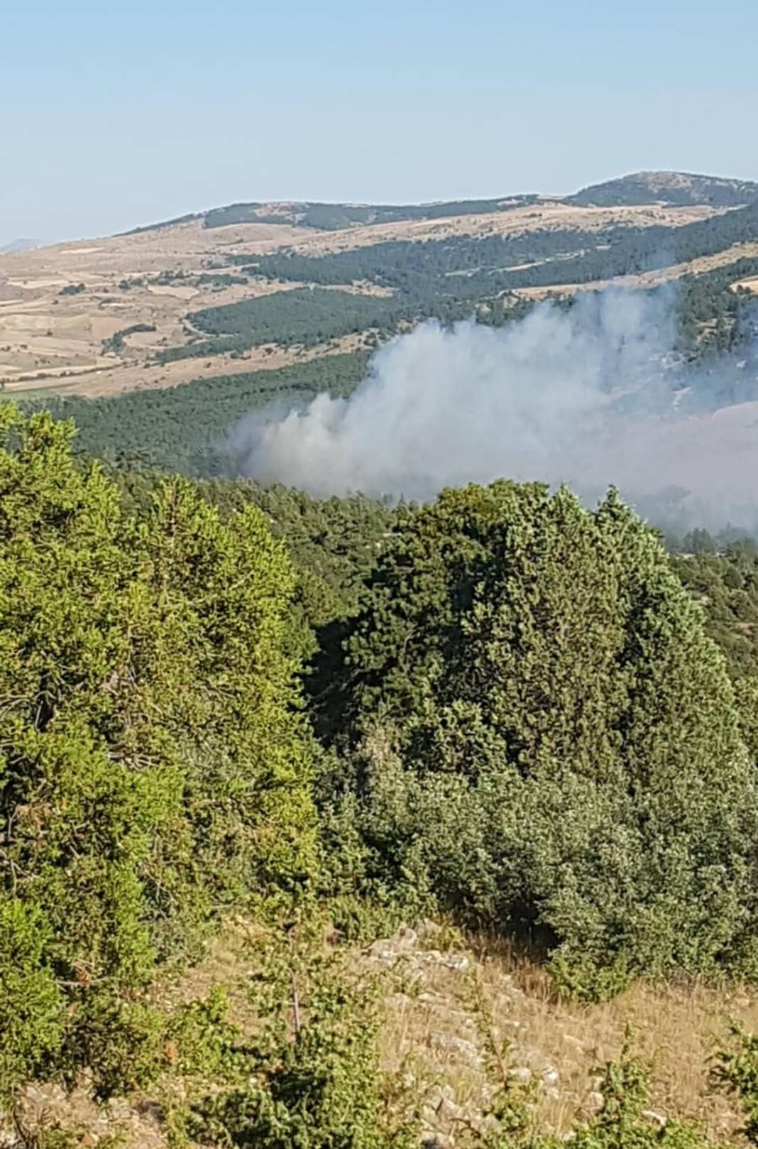 Konya’daki orman yangınının açtığı hasar belli oldu 10